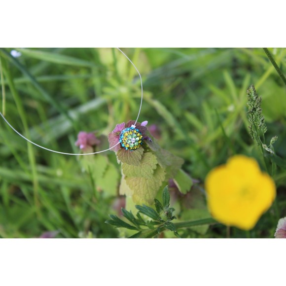 Isabella - Picture 1 of 4